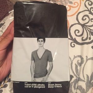 American Apparel Sheer Jersey Deep V-Neck