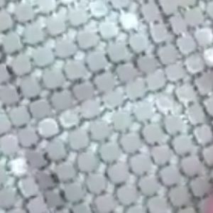 Meet your Posher, Rose