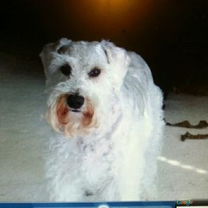 Meet your Posher, Kevin