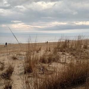 Meet your Posher, Charlotte