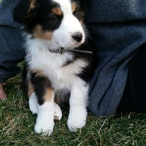 Meet your Posher, Kat