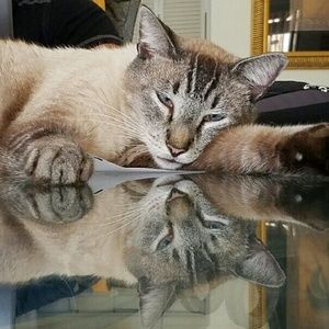 Meet your Posher, Maria