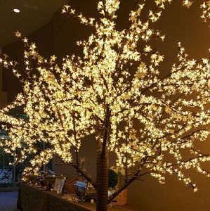 Meet your Posher, Delia