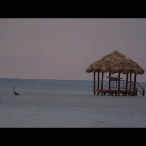 Meet your Posher, Kasey