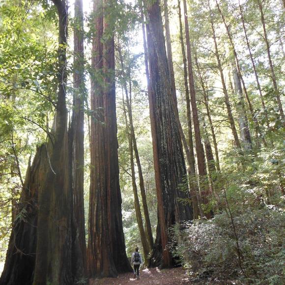 Meet your Posher, Sarah - Picture 1 of 1