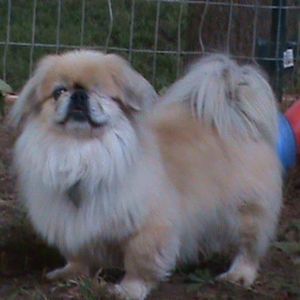 Meet your Posher, Helen