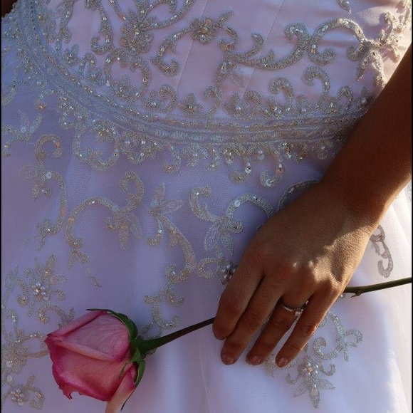 Cinderella Wedding Gown! - Picture 3 of 4