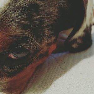 Meet your Posher, Liz