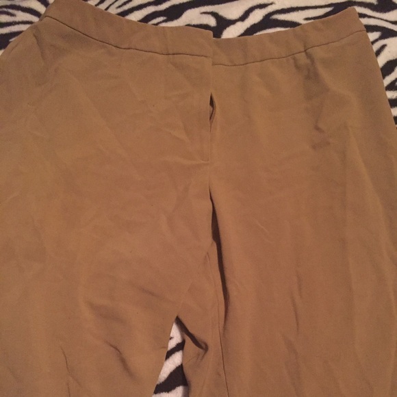 Dress pants