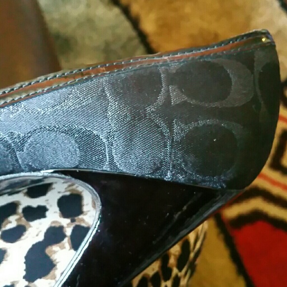 Coach Beauties!! - Picture 4 of 4