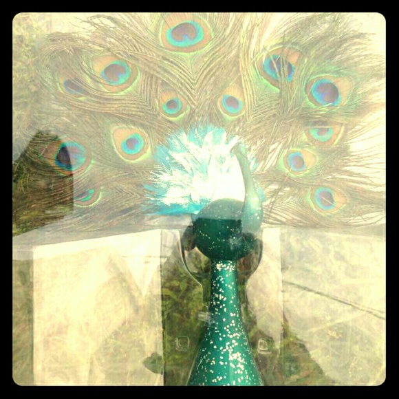 Wedding cake topper or decoration peacock