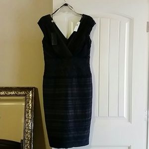 Gorgeous v neck Tadashi Shoji dress