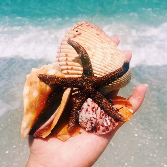 CLOSET CLOSING FOR JUNE - Picture 1 of 1