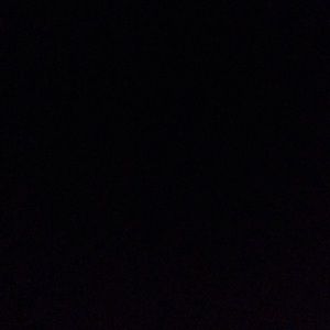 Meet your Posher, Daisy