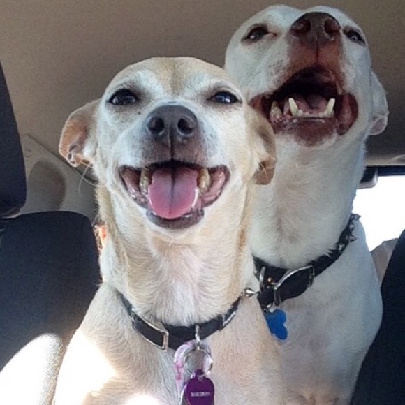 Meet your Posher, Vanana! - Picture 2 of 4