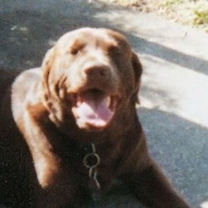 Meet your Posher, Sarah sidle