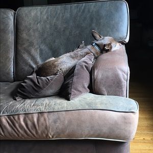 Meet your Posher, Bh