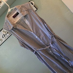 Peck & Peck Blue & White Striped Botton Dress 12