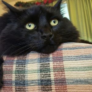 Meet your Posher, Suzi