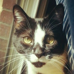 Meet your Posher, Jessica