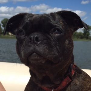 Meet your Posher, Erica