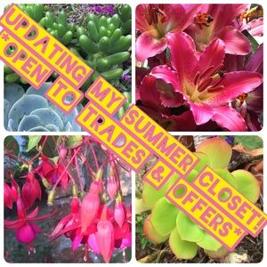 I'm open to trades and offers!!! 🍉🌞🏖