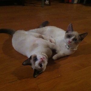 Meet your Posher, Vicki