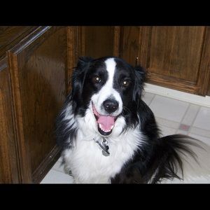 Meet your Posher, Shannon