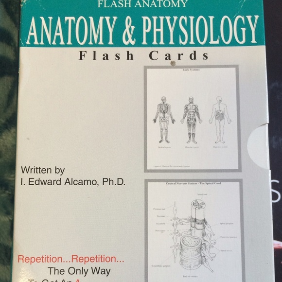Anatomy & Physiology Flash Cards