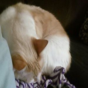 Meet your Posher, Tonya