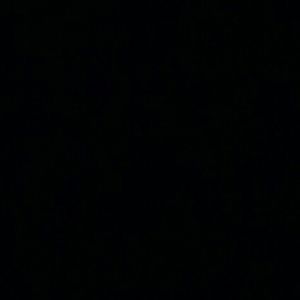 Meet your Posher, Genesis