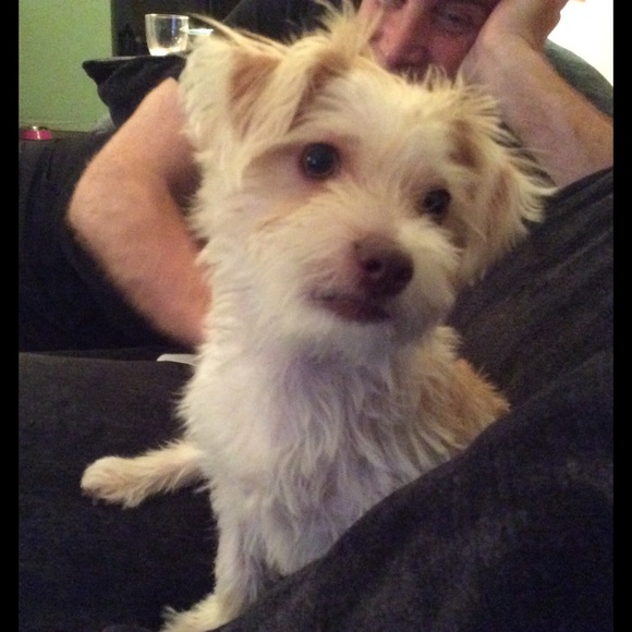 TOP RATED SELLER. TOP 10% SELLER. POSH MENTOR. - Picture 2 of 3