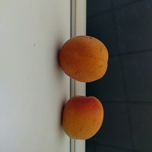 Meet your Posher, Deepa