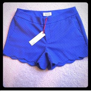 Royal blue scalloped shorts! Beautiful!