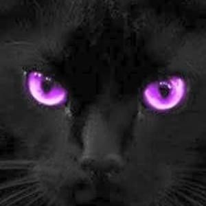 Meet your Posher, Mandi