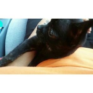 Meet your Posher, Alexis