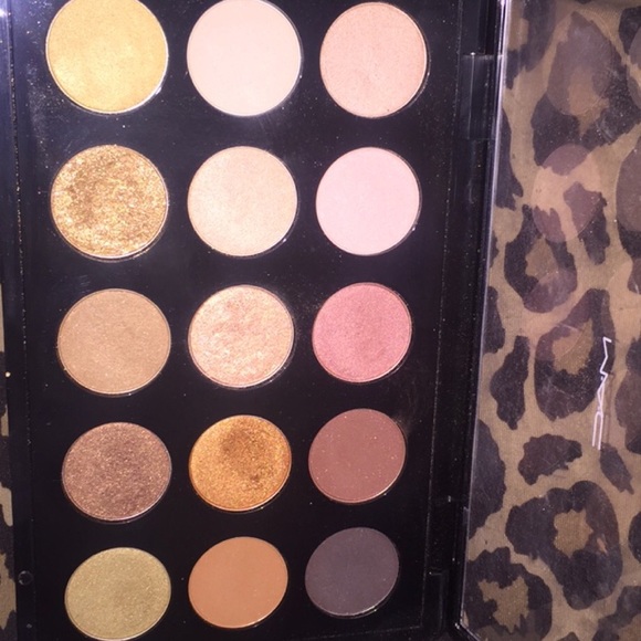 Mac eyeshadow times 15 warm neutral palette