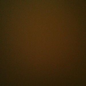 Meet your Posher, Anabel