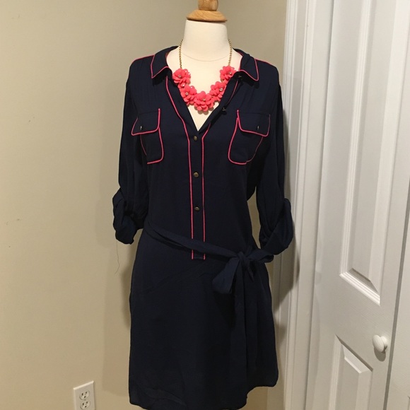 Banana Republic Retro Navy /Fushia dress