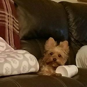 Meet your Posher, Maria