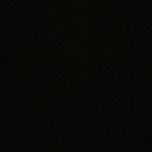 Meet your Posher, Callie