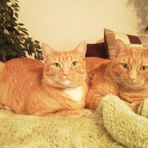 Meet your Posher, Terri