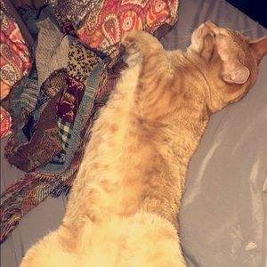 Meet your Posher, Cynthia