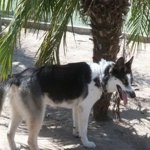 Meet your Posher, Dana