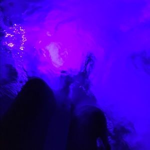 Meet your Posher, Maya