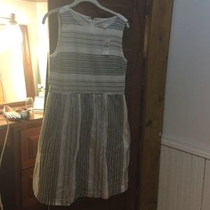 Ann Taylor loft Dress