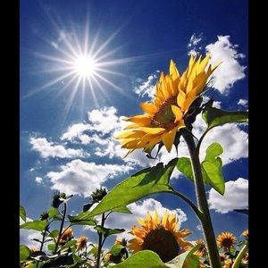 Meet your Posher, Verlene