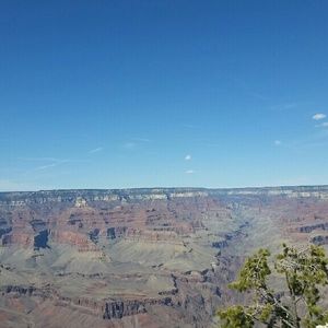 Meet your Posher, Jodie