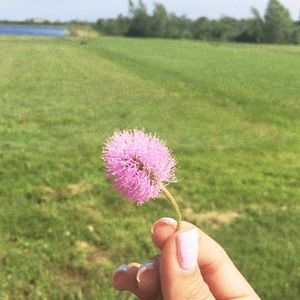 Meet your Posher, Priscilla