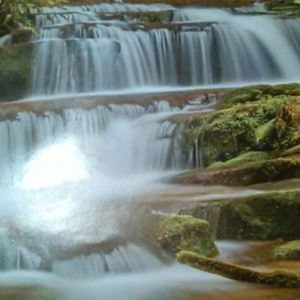 Meet your Posher, Gertrude